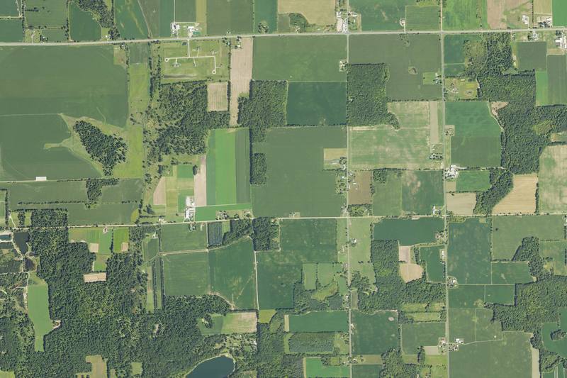 Aerial photograph of Bushnell Township: a grid of straight roads a mile apart, with square fields in different greens and patches of woods between them.